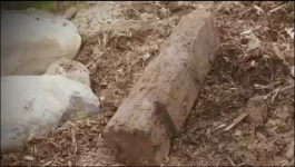 The Curse of Oak Island - Season 09 Episode 19